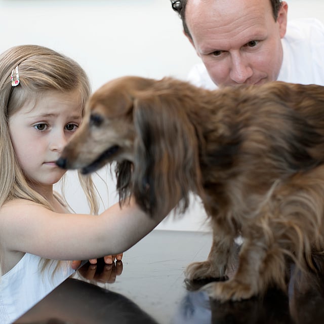 Ein Kind und ein Hund.