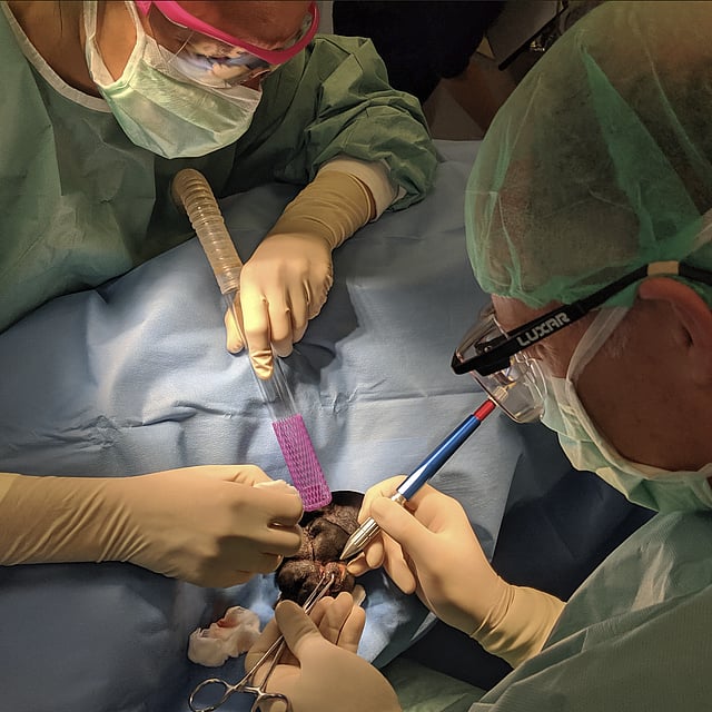 Eine Gruppe von Personen mit chirurgischen Masken und Handschuhen, die eine Operation durchführen.