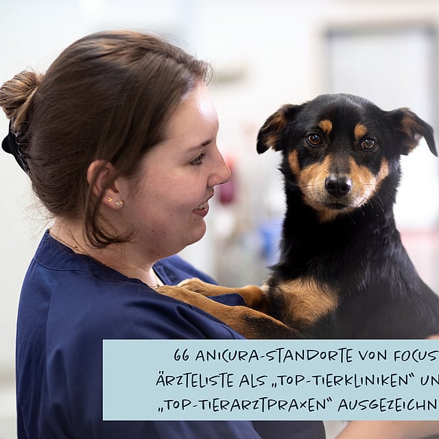 A person holding a dog.