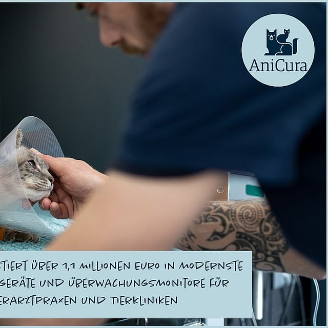 Eine Person, die eine Katze mit einem Kegel um den Hals hält.