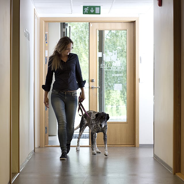 Eine Person, die mit einem Hund in einem Flur spazieren geht.