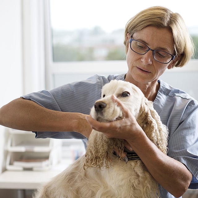 Eine Person mit Brille, die einen Hund hält.