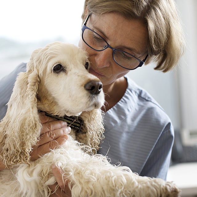 A person holding a dog.