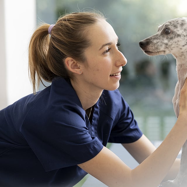 A person holding a dog.
