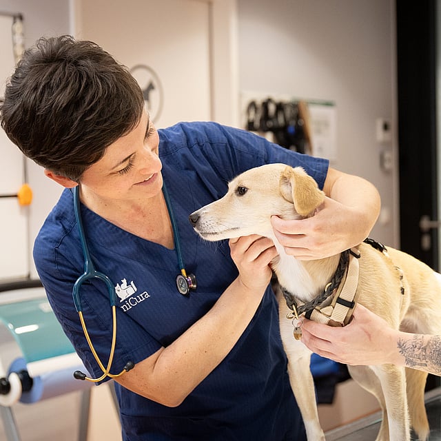 A person holding a dog.