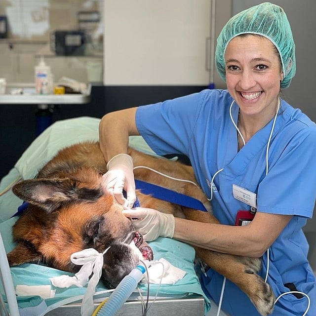 Eine Person in Kitteln, die einen Hund hält.
