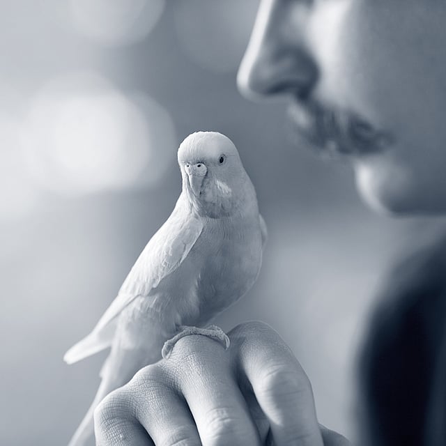 A person holding a bird.
