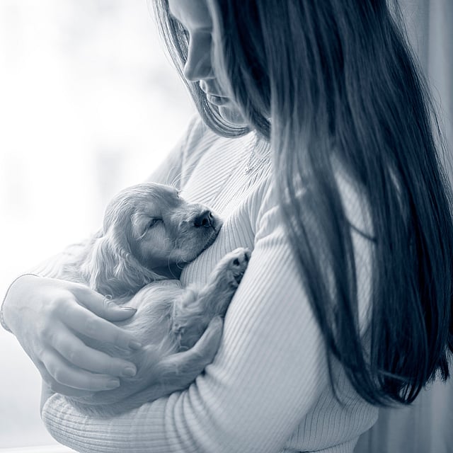 A person holding a dog.