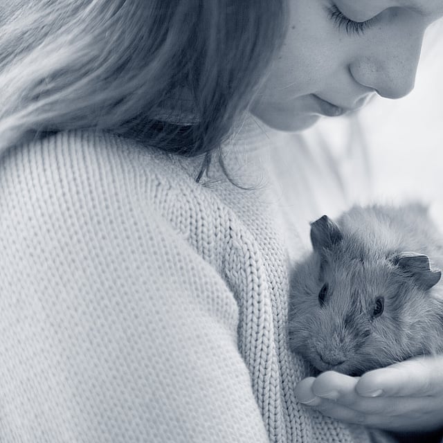Ein Kind, das einen Hamster hält.