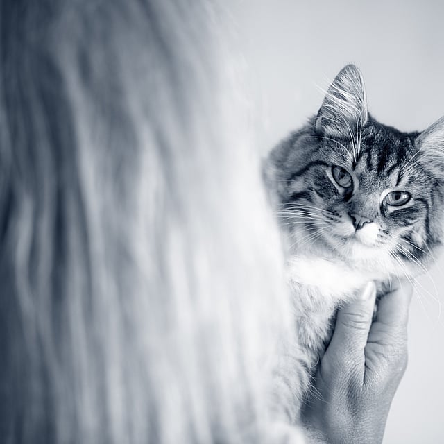 Eine Person, die eine Katze hält.