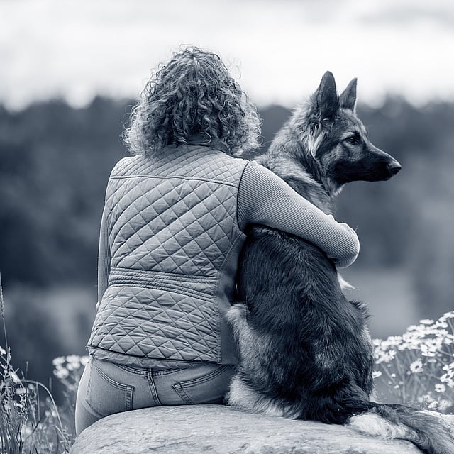 Eine Person, die mit einem Hund sitzt.
