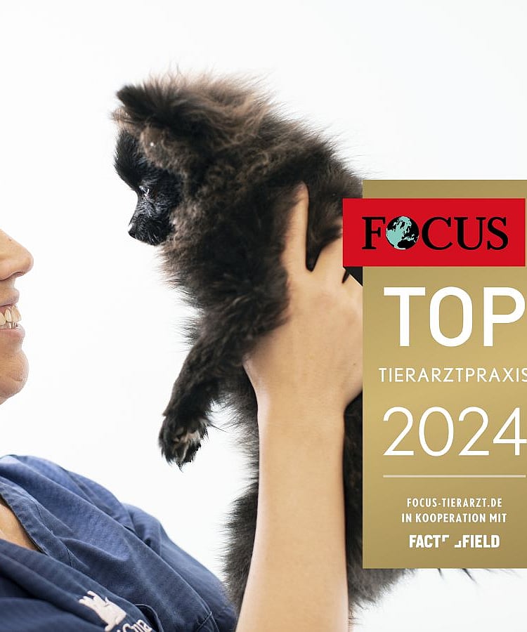 Eine Tierärztin hält eine Babykatze in ihren Händen. Sie hält sie vor ihr Gesicht und lächelt sie an.