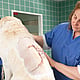 Foto von Dr. med. vet. Kathrin Budde, Geschäftsführerin & Fachtierärztin Für Chirurgie