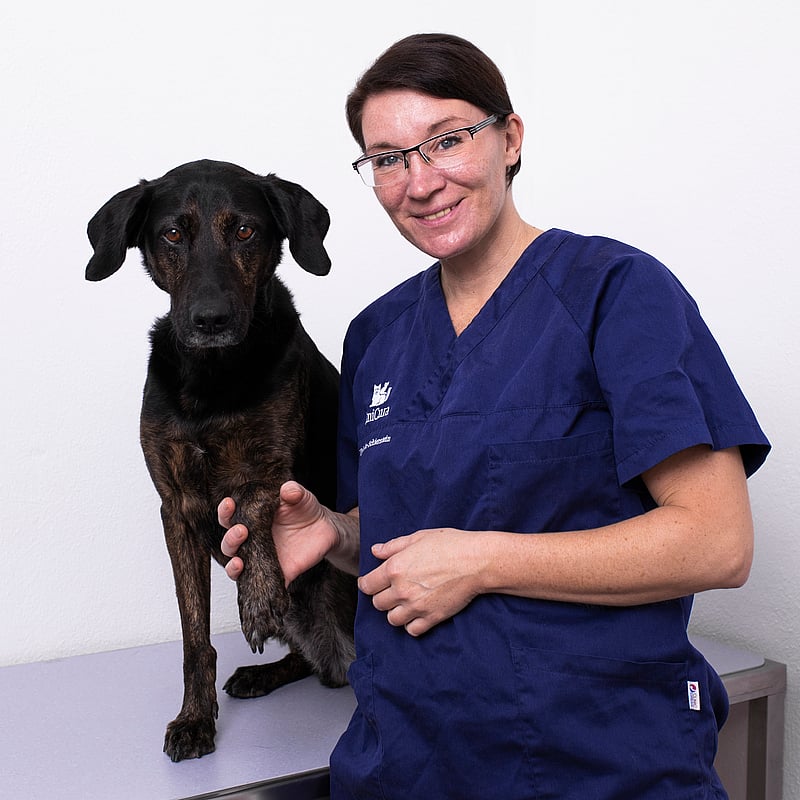 Foto von Sam Voss, Praxismanagerin, Tiermedizinische Fachangestellte