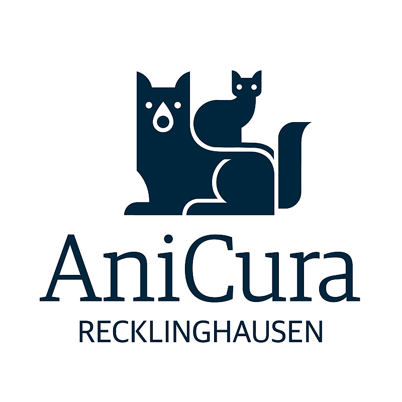 Foto von Gina Figge, Tierärzte
