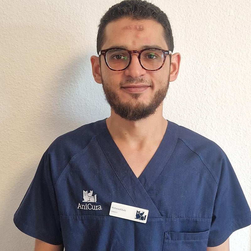 Foto von Mohamed Rady, Tierarzt