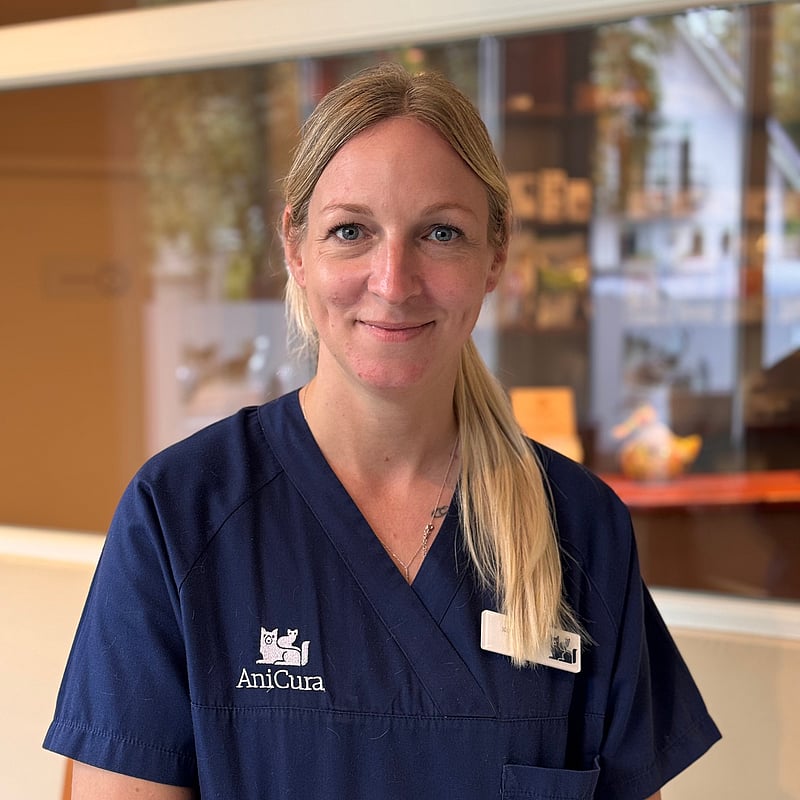 Foto von Kristin Folz, Tiermedizinische Fachangestellte