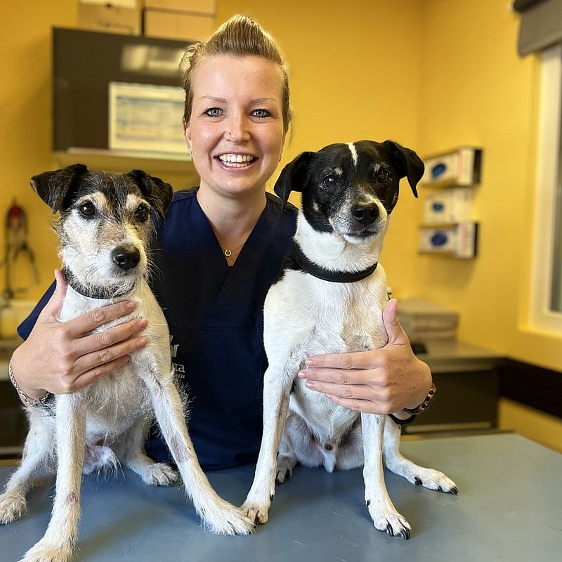 Foto von Denise Fritz, Anmeldung