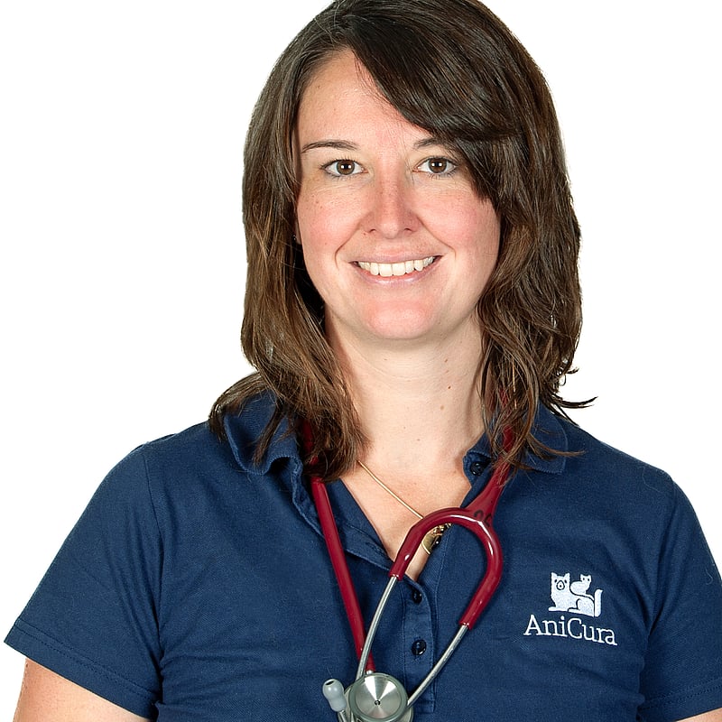 Foto von Dr. Stefanie Dörfelt, Oberärzte und Spezialisten