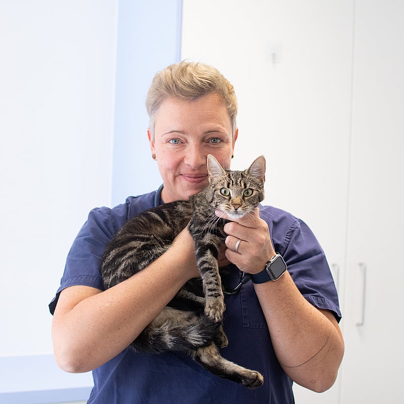 Foto von Dr. (Uni Lüttich) Marie Gilles, Tierärzt*innen