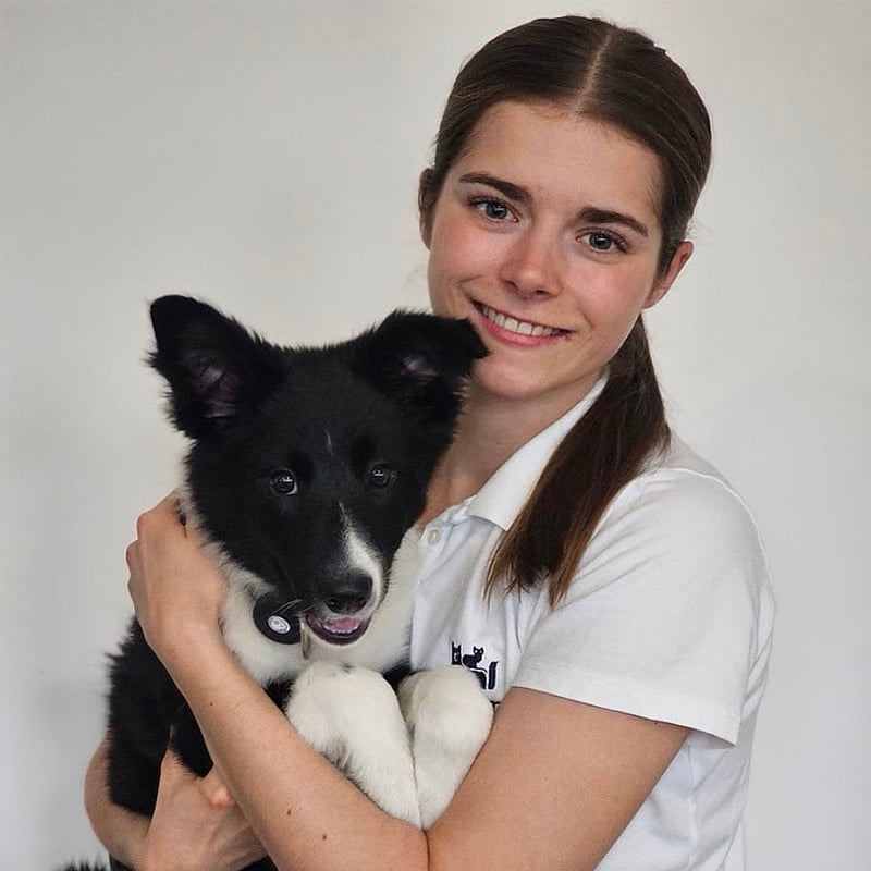 Foto von Jo-Ann Siegler, Tierärzte