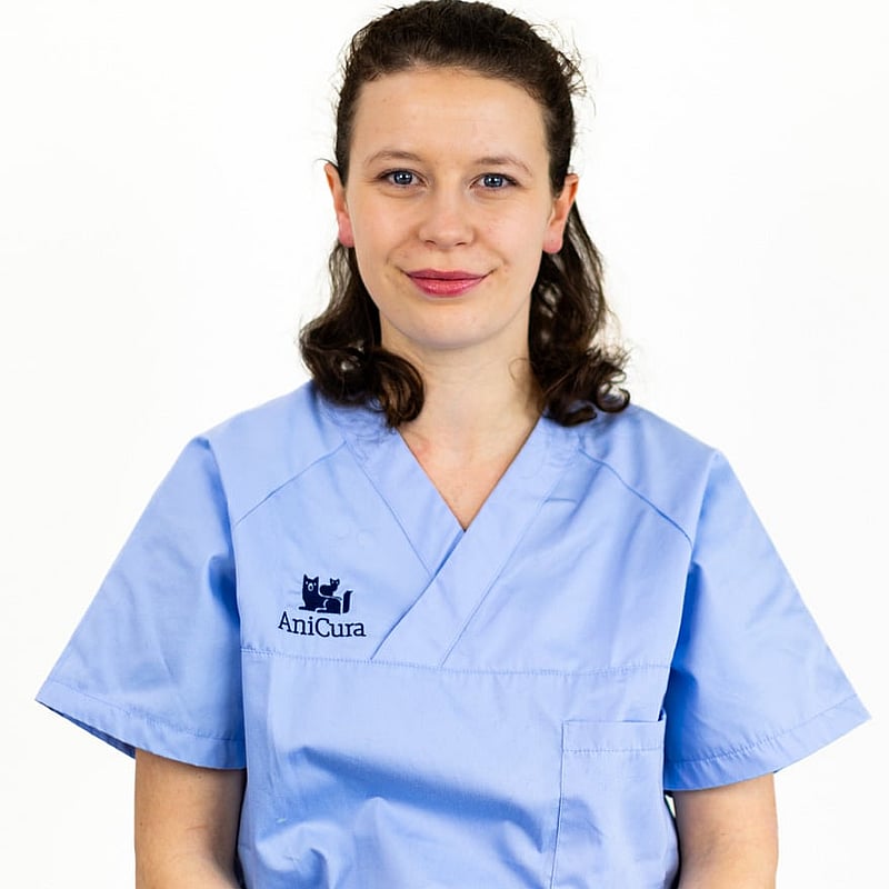 Foto von Anne-Mareike Sprigade, Tierärzte