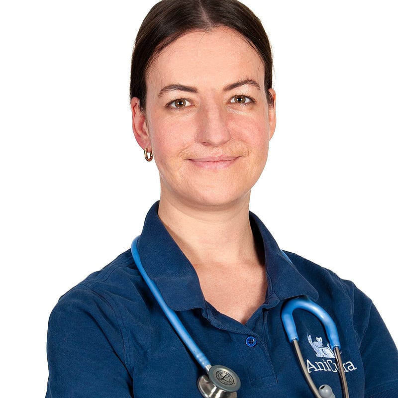 Foto von Vivien Grassmann, Tierärzte