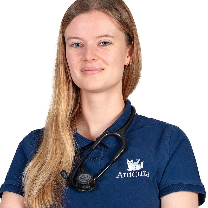 Foto von Anika Mische, Tierärzte