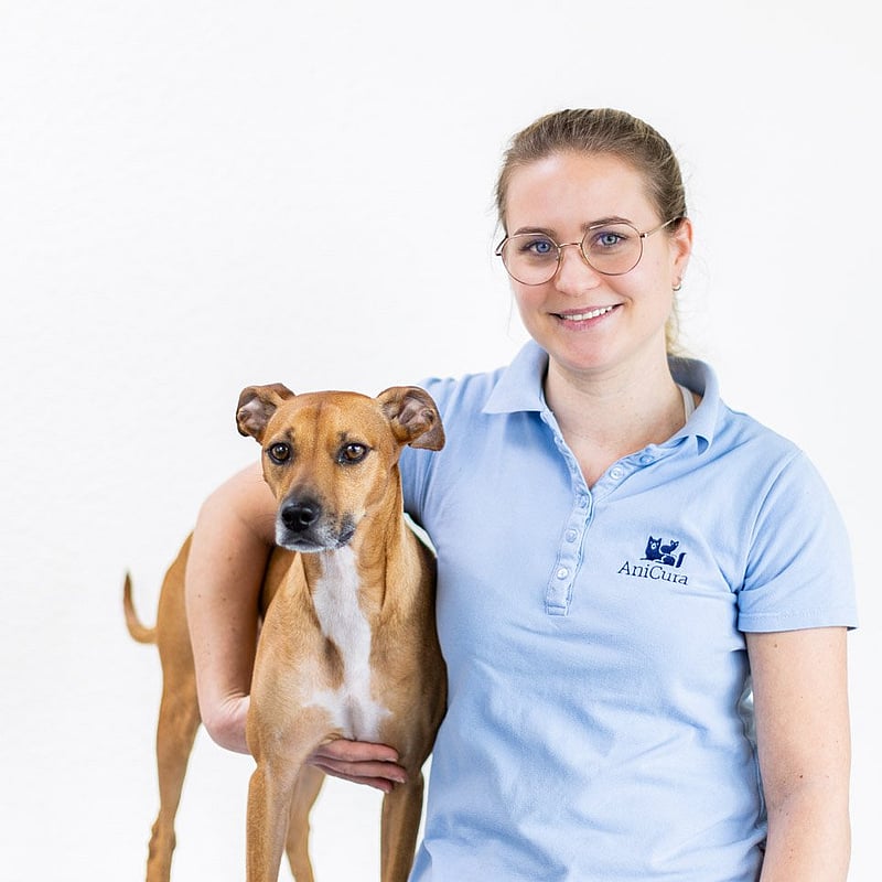 Foto von Sarah Steffen, Tierärzte