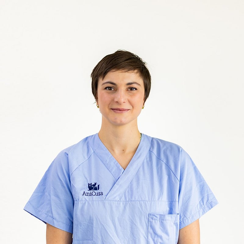 Foto von Dr. Maren Julia Walliser, Tierärzte