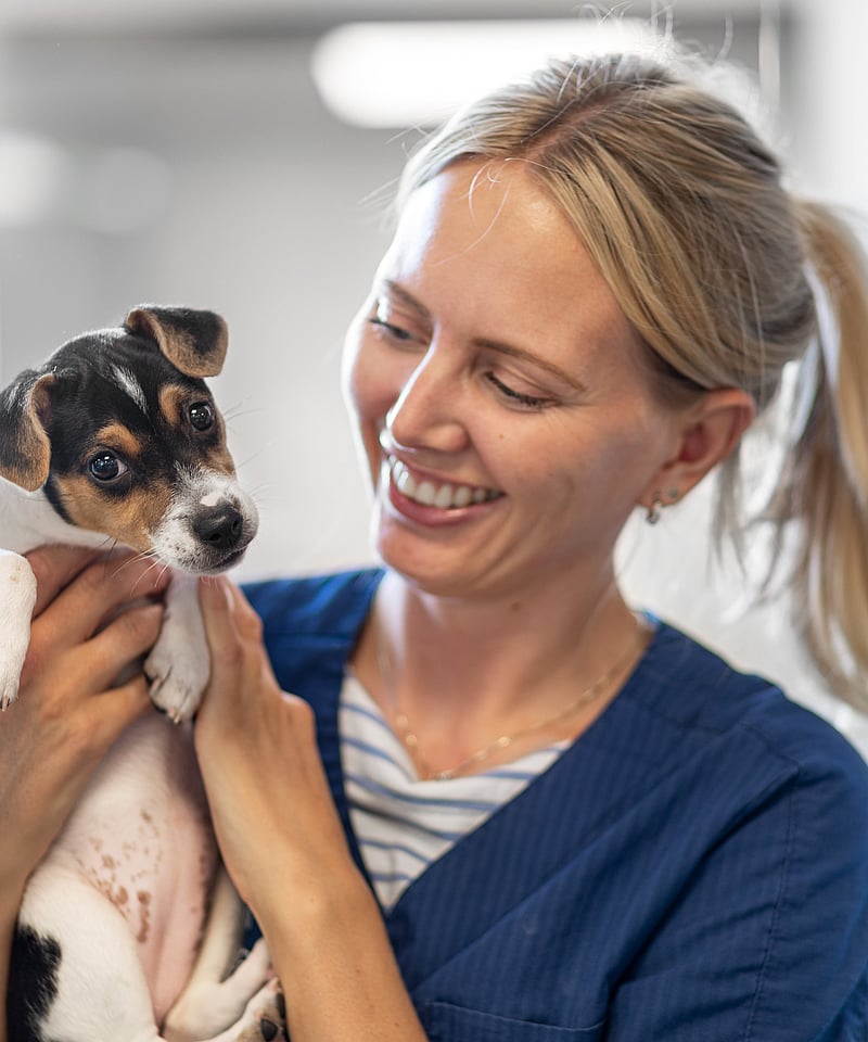 A person holding a dog.