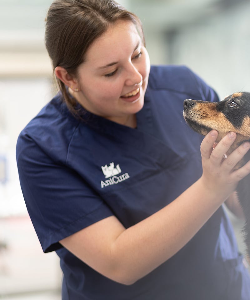 Eine Person, die einen Hund streichelt.