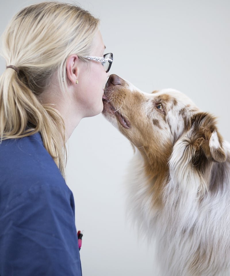 Eine Person, die einen Hund küsst.