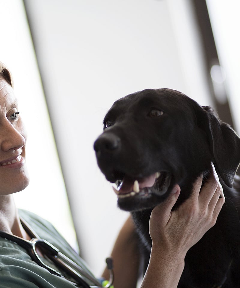 A person holding a dog.