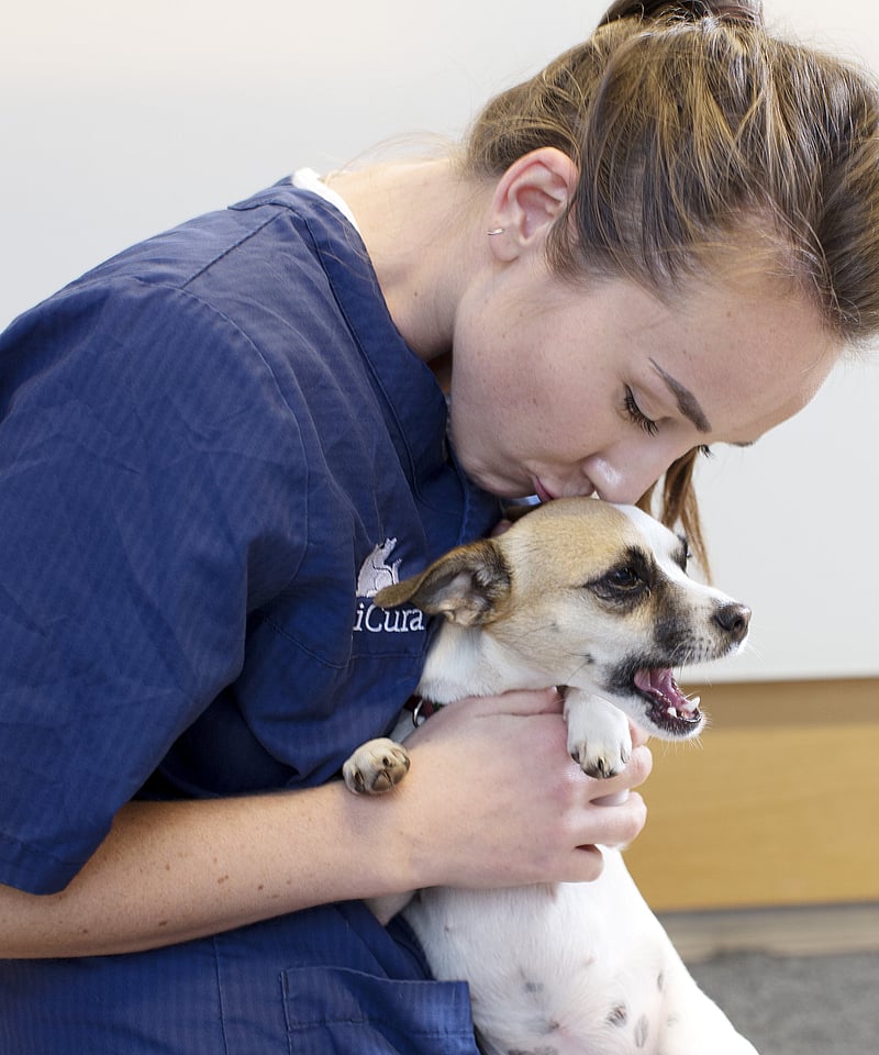 Eine Tierärztin kniet auf dem Boden und hält vor sich einen kleinen Hund. Sie beugt sich runter und gibt ihm einen Kuss auf den Kopf.