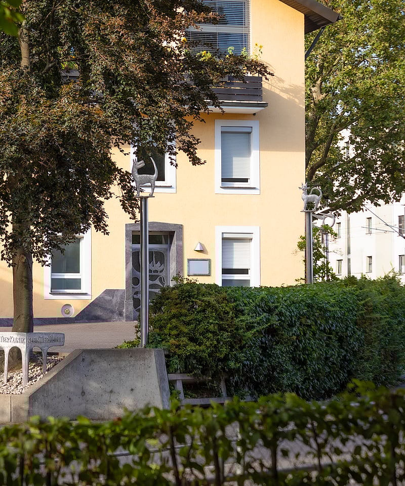 Eine Tierärztin kniet auf dem Boden. Links von ihr sitzt ein schwarzer Hund, den sie anschaut und rechts sitzt eine Katze, die sich an sie anschmiegt.