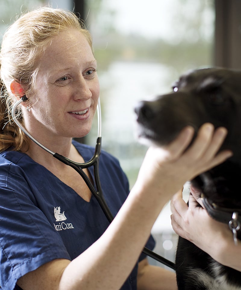 Eine Tierärztin hört mit einem Stethoskop einen schwarzen Labrador ab. Dabei hält sie seinen Kopf und lächelt ihn an.