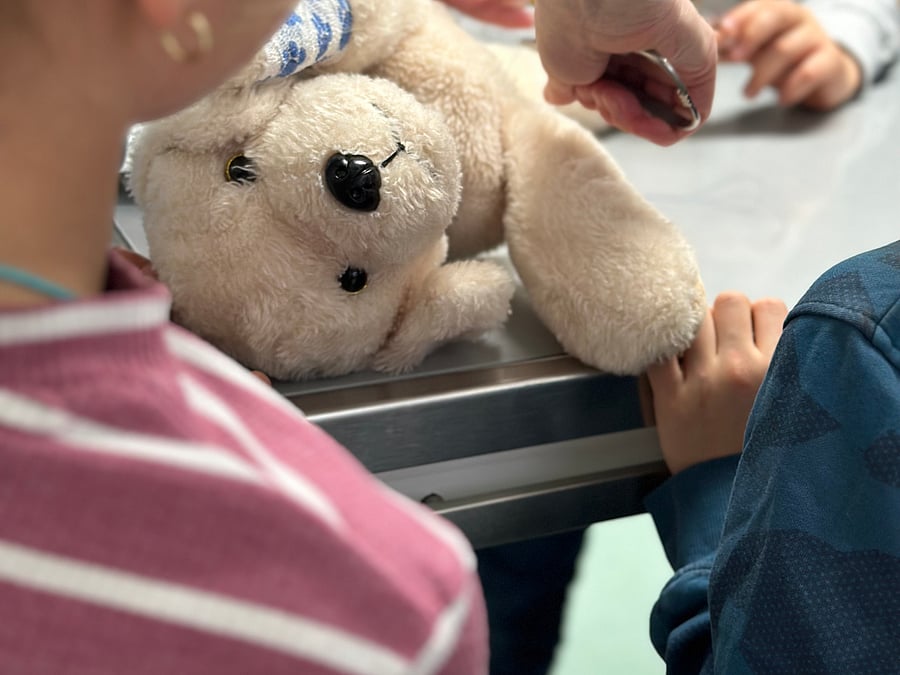 Spielerische Tiermedizin für Kinder: Kuscheltiersprechstunde in der Tierarztpraxis  AniCura Hohenlohe im Raum Crailsheim und Schwäbisch Hall