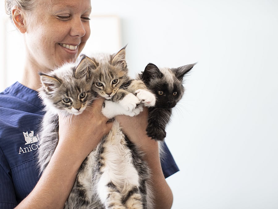 Eine Tierpflegerin hält zwei Babykatzen in den Händen und lächelt sie an.