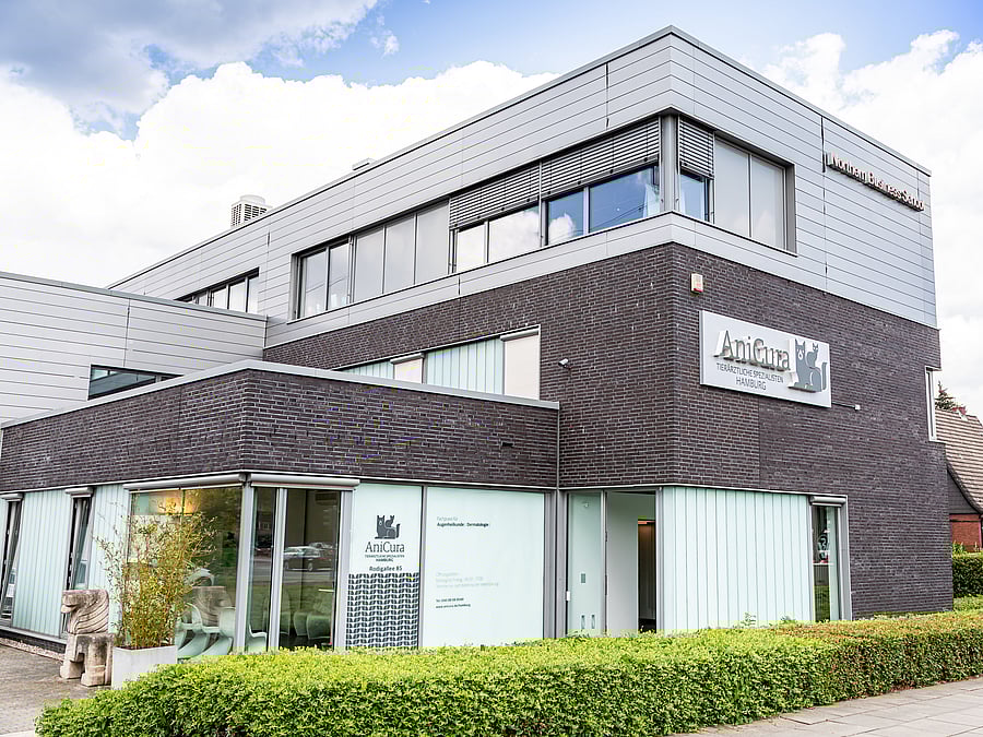 Das Haus, in dem sich die Praxis befindet, ist modern und hat große Fenster. Drum herum ist eine grüne Hecke.