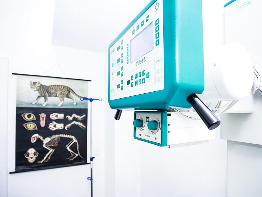 Neben den Röntgengerät hängt ein Bild von dem Knochenaufbau einer Katze.