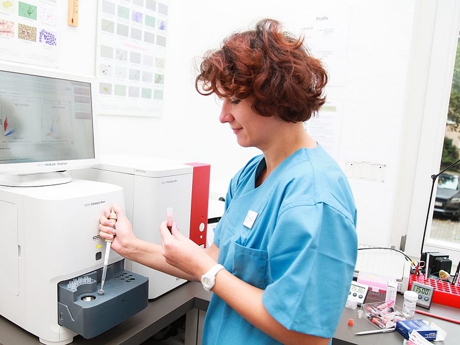 Eine Tierärztin füllt mit Hilfe einer Pipette eine Blutprobe in ein Untersuchungsgerät.
