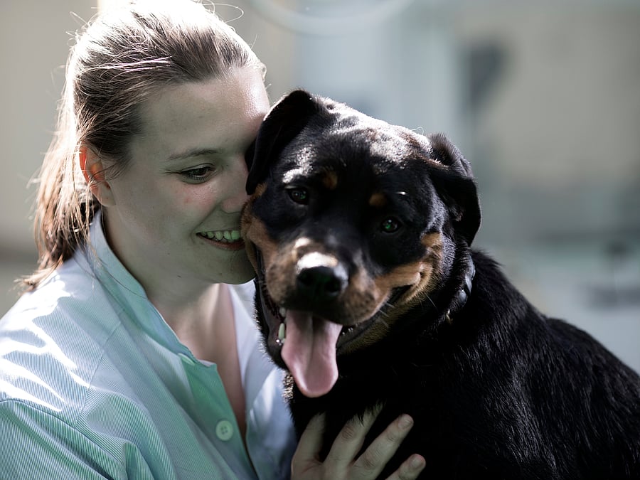 Eine Tierärztin kuschelt mit einem Rottweiler und lacht dabei. Sie halten ihre Köpfe aneinander.
