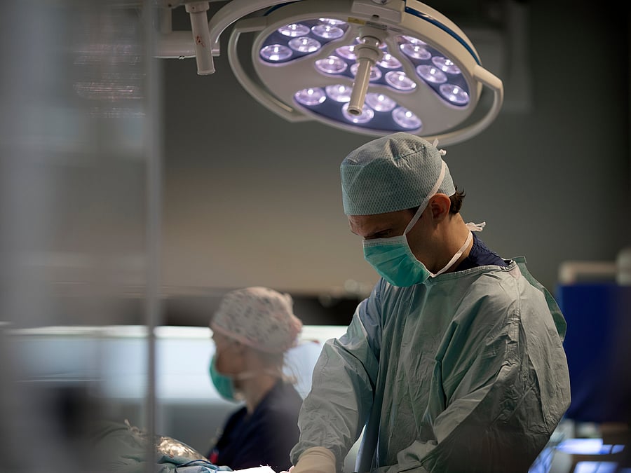Ein Tierarzt führt gerade eine OP im OP-Saal durch. Hinter ihm steht eine Assistenz.