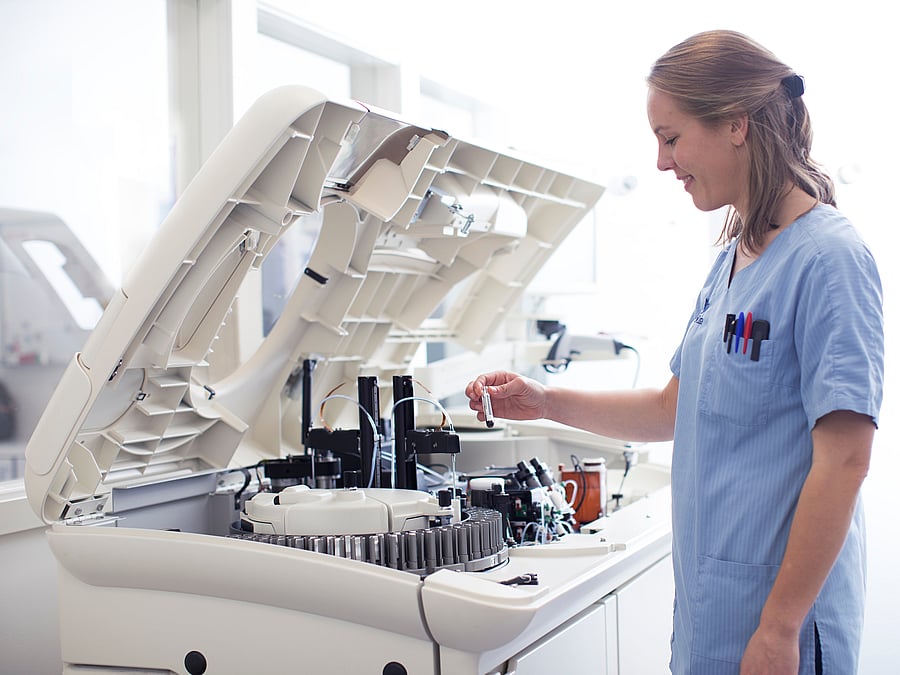 Eine Tierärztin entnimmt eine Probe aus dem Labor.