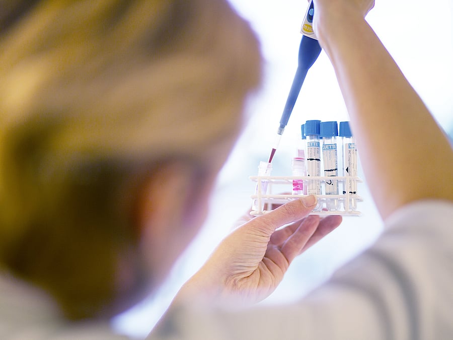 Eine Tierärztin, die nur unscharf und von hinten zu sehen ist, füllt mit Hilfe einer Pipette eine Blutprobe in ein Reagenzglas.