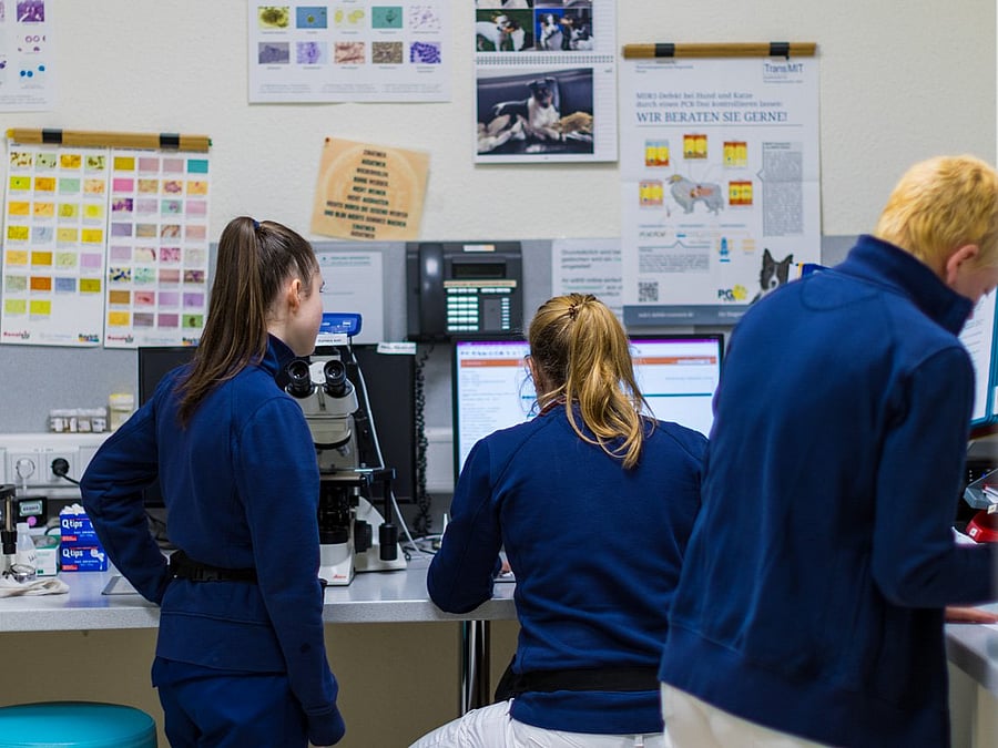 Ein Monitor zeigt den Herzrhythmus während einer OP an. Eine Tierärztin dreht an einem Knopf.
