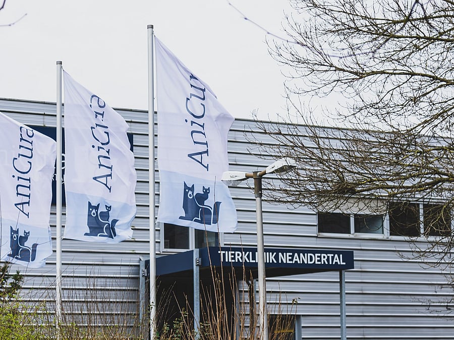 Zwei Tierärztinnen schauen sie eine Probe an, während sich eine von ihnen Notizen macht. Im Hintergrund arbeitet ein Tierpfleger.