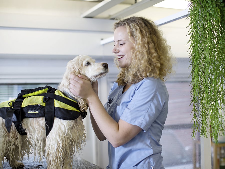 Eine Tierärztin streichelt einen Hund, der gerade mit Weste schwimmen war und lacht ihn dabei an.