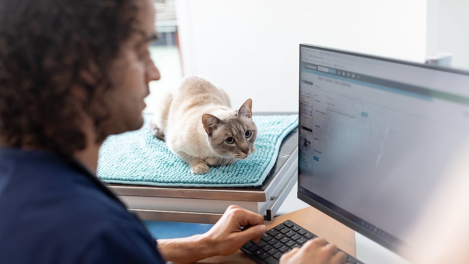 Eine Person, die an einem Computer sitzt.